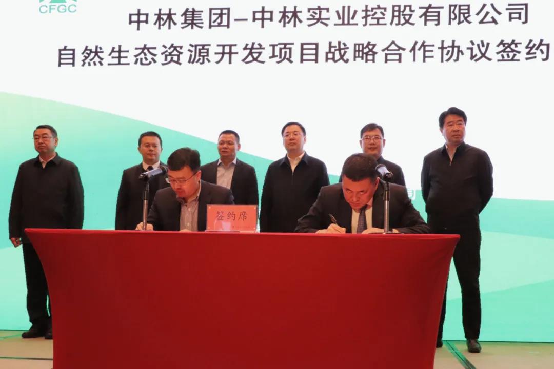 中林實(shí)業(yè)與哈爾濱市林草局、通河縣政府、建行黑龍江分行戰(zhàn)略合作協(xié)議簽約儀式在哈爾濱圓滿舉行(圖7)