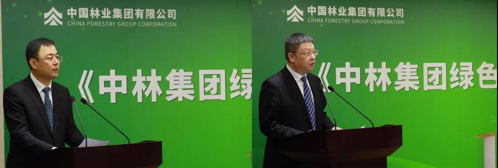《中林集團(tuán)綠色高質(zhì)量發(fā)展暨“碳中和”白皮書》發(fā)布(圖4) 《中林集團(tuán)綠色高質(zhì)量發(fā)展暨“碳中和”白皮書》發(fā)布(圖4)